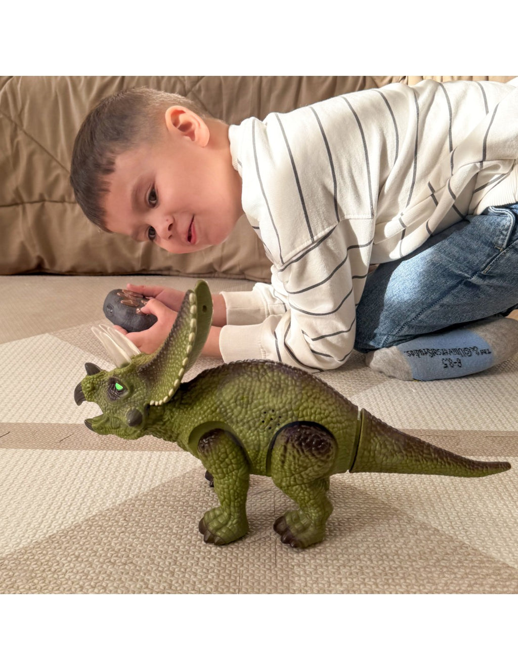 Triceratops