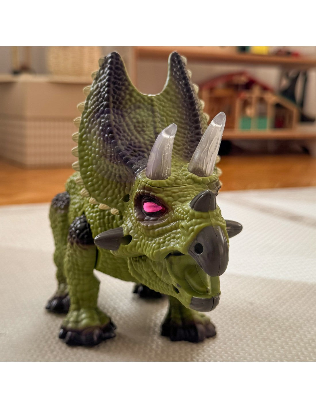 Triceratops